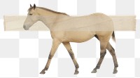 PNG Animal mammal horse white background.