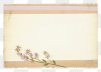 PNG Lilac flower plant paper