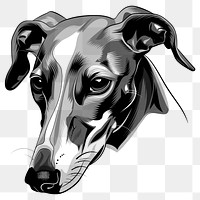 PNG Greyhound illustrated drawing sketch.