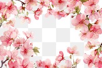 PNG Dreamy cherry blossoms as a natural border flower petal plant.