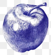 PNG Drawing sketch apple fruit.