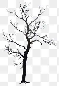 PNG Dead tree silhouette clip art drawing sketch plant