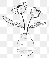 PNG Peony flower vase sketch drawing plant.
