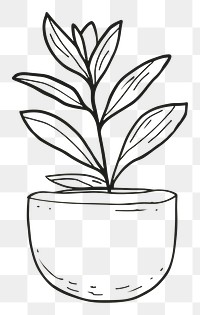 PNG Plant pot sketch drawing leaf.