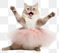 PNG Chartreaux cat dancing portrait mammal.