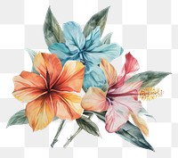 PNG Tropical flowers graphics painting blossom.