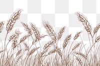 PNG Vector illustration of ears of wheat line produce grain plant.