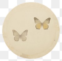 PNG Butterflies animal white background butterfly.