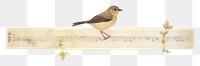 PNG Bird sparrow animal paper.
