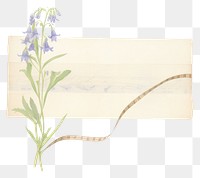 PNG Bluebells flower plant paper.