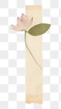 PNG Lotus flower petal plant paper.