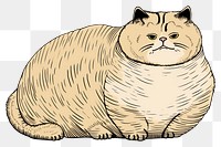 PNG Fat cat cartoon drawing animal.
