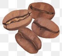 PNG Coffee beans ripped paper white background freshness beverage.