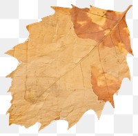 PNG Autumn leaf ripped paper backgrounds plant tree.