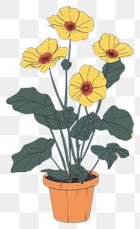 PNG Drawing flowers in pots sunflower plant petal.