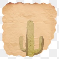 PNG Cactus shape ripped paper plant white background rectangle.