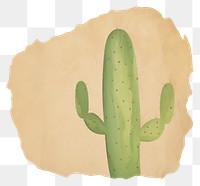 PNG Cactus shape ripped paper plant white background creativity.