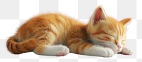 PNG Happy cute kitten sleep animal mammal pet