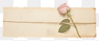 PNG Adhesive tape is stuck on a rose ephemera collage envelope flower plant.
