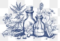 PNG Antique of homeopathy sketch illustrated drawing.
