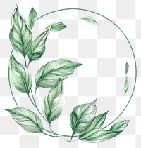PNG Leaf in style of frame pattern drawing sketch