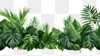 PNG Jungle plant clipart backgrounds vegetation outdoors