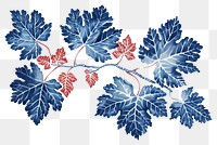 PNG Antique of coral leaf pattern sketch plant.