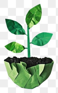 PNG Simple plant with soil green paper leaf.