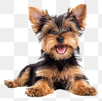 PNG Happy baby yorkshire terrier mammal animal pet