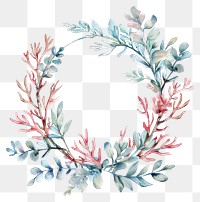 PNG Wreath pattern plant white background.