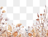 PNG Dried flower border backgrounds outdoors nature.