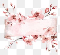 PNG Ribbon with cherry blossom border flower plant white background.