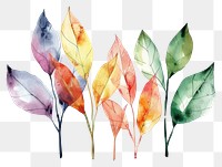 PNG Minimal leafs plant creativity fragility.