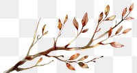 PNG Tree branch watercolor plant blossom pattern.