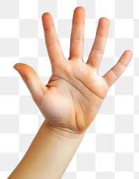 PNG Hand raising 5 fingers white background gesturing touching.