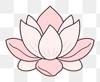 PNG Pink lotus flower petal line.