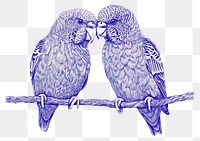 PNG Vintage drawing love birds parrot animal blue.