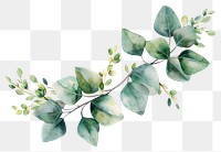 PNG Eucalyptus floral wreath plant leaf white background