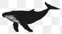 PNG Whale silhouette kangaroo stencil wallaby.