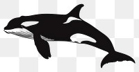 PNG Killer whale silhouette stencil animal mammal.