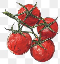 PNG Tomatoes on vine art vegetable dynamite.