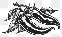 PNG Chilli illustrated produce drawing.