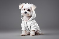 PNG Dog zip up hoodie mockup, transparent design