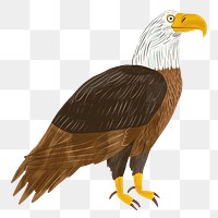 Bald eagle png cute animal, transparent background