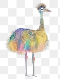 Emu png cute animal, transparent background