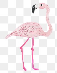 Flamingo png cute animal, transparent background