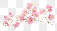 PNG Pink flowers background chandelier blossom orchid
