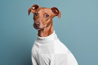PNG Dog sweater mockup, transparent design