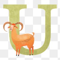 Letter U  png animal character alphabet, transparent background