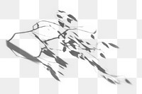 Tree branch png shadow effect, transparent background